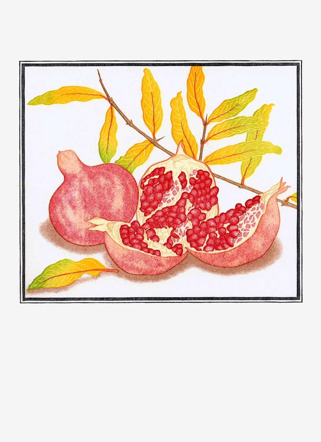 Fruit Prints — Patricia Curtan